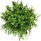 8 Bundles Artificial Eucalyptus & Boxwood Shrubs - UV Resistant No-Fade Faux Greenery - 13" Small Fake Plants for Outdoor Hanging Planters, Porch, Garden, Patio & Indoor Home Office Decor (Green)